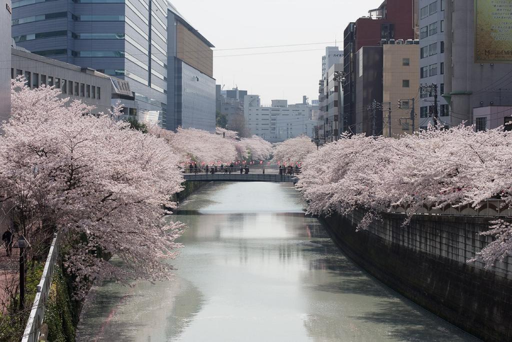 Nesthotel Alt Meguro Ekimae Tokio Exterior foto